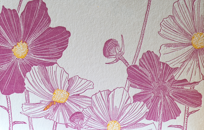Cosmos Letterpress Detail