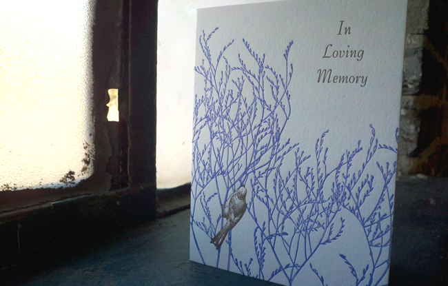 Marsh Rosemary Sneak Peek